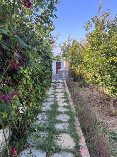 a stone path in an apple orchard with roses at Charmante Villa à Rmilat Plage in Asilah