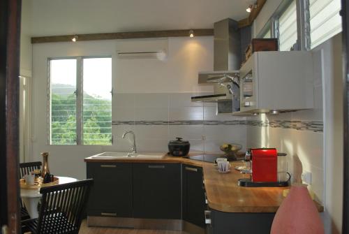 舍尔谢Vue sur Mer Caprices de l'Ombre的带水槽和台面的厨房