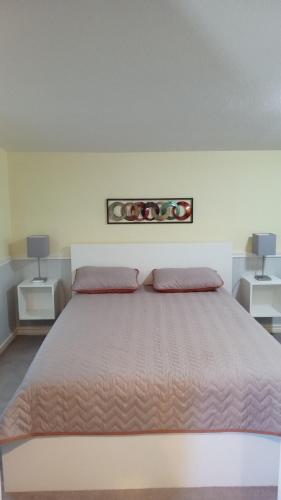 a bedroom with a large bed with pink pillows at Cozy Texoma Guesthouse in Sherman