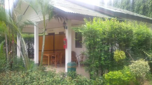 Κήπος έξω από το Jungle Village Bungalow
