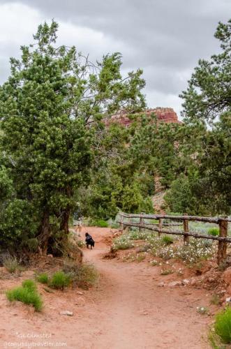 a dog walking down a dirt road with a fence at Timber & Tin G 2Bed 2Bath w Pool & Rooftop Deck in Kanab