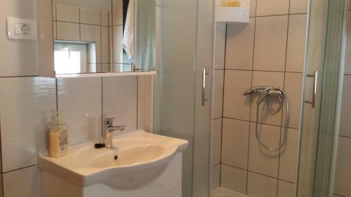 y baño con lavabo y ducha. en Guesthouse Rupčič, en Grabovac