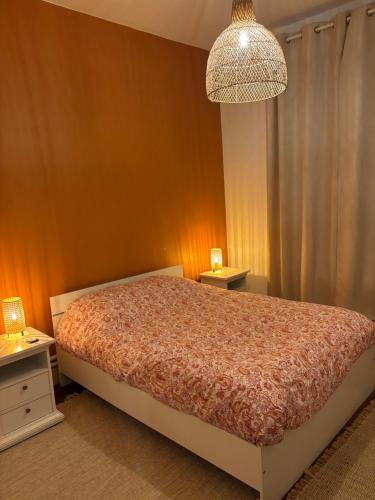 une chambre avec un lit et un lustre dans l'établissement Appartement cosy sur Nancy, à Nancy