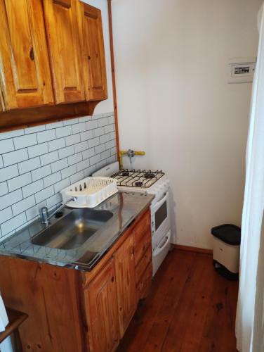 een keuken met een spoelbak en een fornuis bij Cabañas MoonRose in Concepción del Uruguay