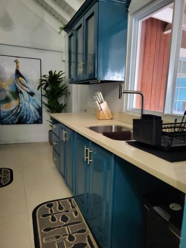 a kitchen with blue cabinets and a sink at KK'S Elite Escape with private beach in Richmond