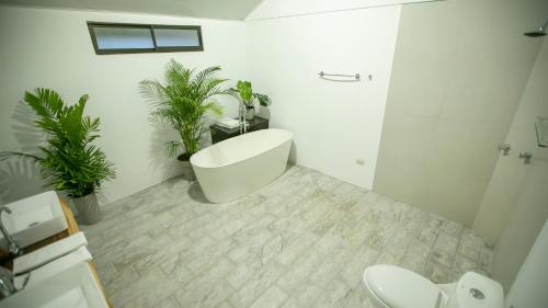 a bathroom with a bath tub and two potted plants at Anthurium house in Fortuna