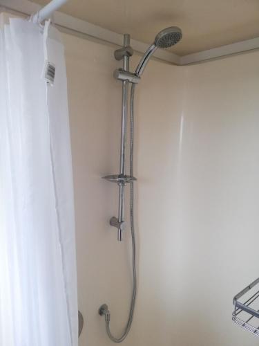 a shower in a bathroom with a shower curtain at Songbird Sleepout with bathroom and mini kitchenette in Hamilton