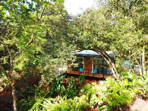a house in the middle of the trees at Casita Jungle Nest, 5 minutes drive to Playa Linda, 15 to Dominical, Wifi Starlink in Matapalo