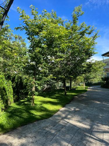 a street with trees on the side of a road at Tianen Farm in Hualing