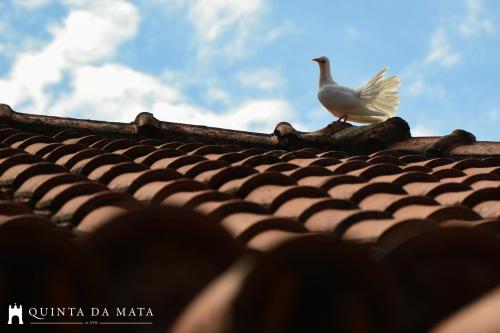 Φωτογραφία από το άλμπουμ του Quinta da Mata - Turismo de Habitação σε Chaves