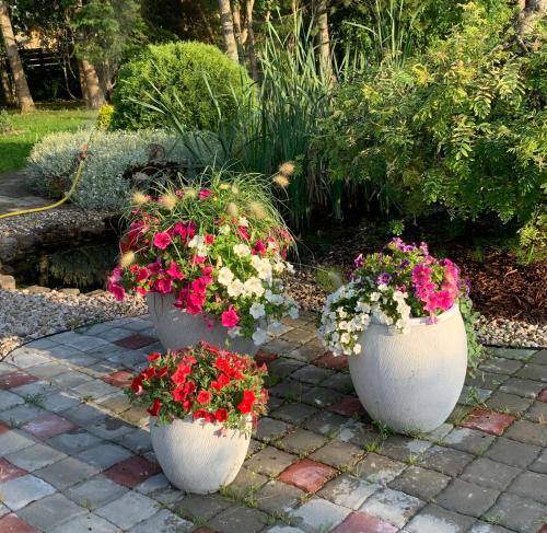 two white pots filled with flowers on a patio at Russet & Rowanberry - Rowanberry Retreat in Kriilevälja