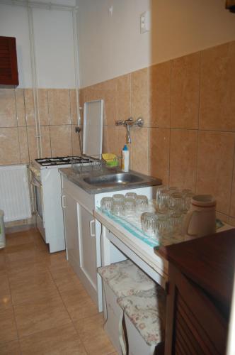 una cocina con fregadero y una encimera con gafas. en Csukavölgyi Apartman, en Visegrád