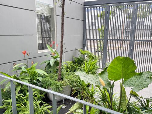 a garden with plants and a fence at Lá Riverside Boutique Hotel in Mỹ Phước