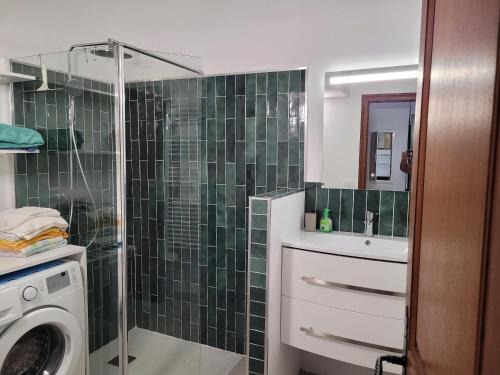 une salle de bain avec douche et machine à laver dans l'établissement Le petit Sampiero 2, à Pietrosella