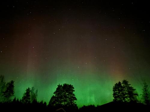 Gambar di galeri bagi Villa Norppa di Punkaharju