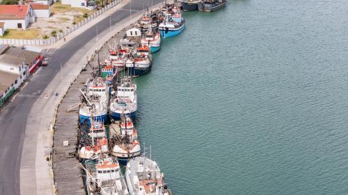 a group of boats are docked in a harbor at Dolphin Place in Velddrif