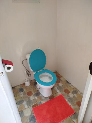 a bathroom with a blue toilet with a red rug at Faré TIAREI in Tiarei