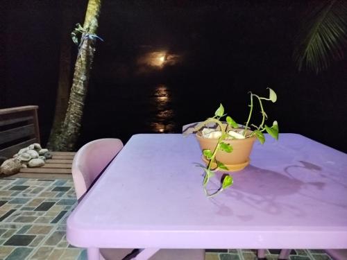 a purple table with two potted plants on it at Faré TIAREI in Tiarei