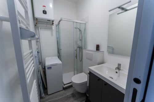 ein Badezimmer mit Dusche, Toilette und Waschbecken in der Unterkunft Studio cosy avec jardin privatif proche transport in Vénissieux