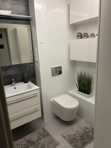 Un baño blanco con inodoro y lavabo. en Apartament Słowackiego Park, en Zabrze