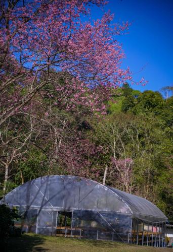 Fotografie z fotogalerie ubytování ปางสูงเฮาส์ pangsunghouse บ้านนางฟ้า v destinaci Ban Pang Bo Hu Bon
