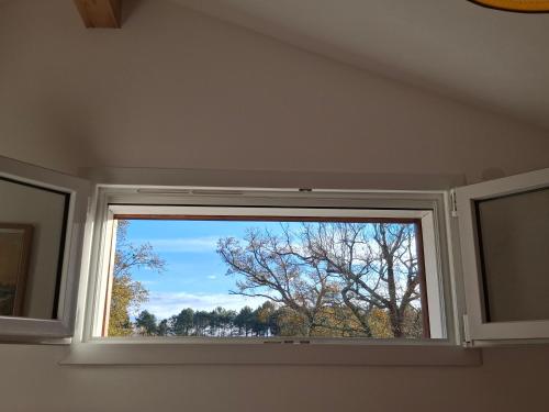 a window in a room with a view of a tree at Havre de paix océan et forêt in Mimizan