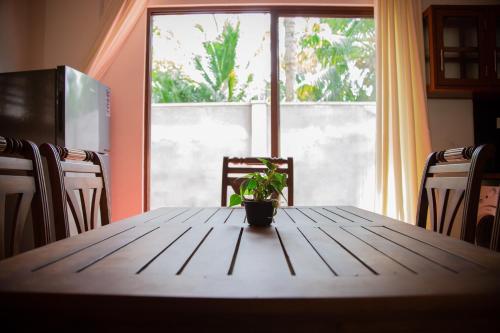 a table with a potted plant on it in front of a window at Aqua Sea Beach -Villa in Hikkaduwa