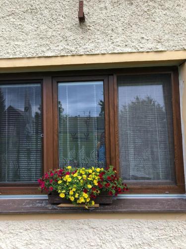 a window with a bunch of flowers on it at Apartmán Teplice nad Metují in Teplice nad Metují