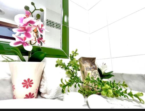 Apartamento Fabi beach Torrevieja photo 28