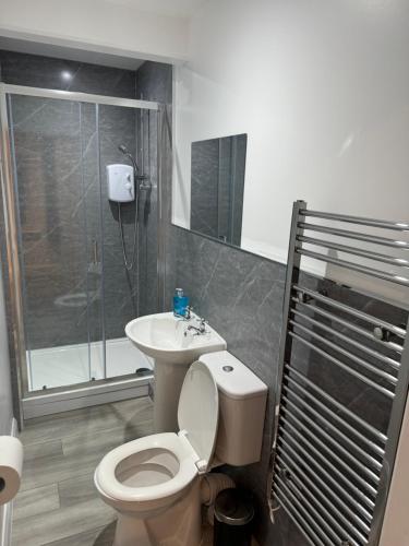 a bathroom with a toilet and a shower and a sink at Juniper Berry in Southampton