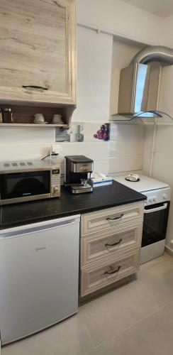 a kitchen with a counter with a microwave and a stove at Morii Lake Studio in Bucharest