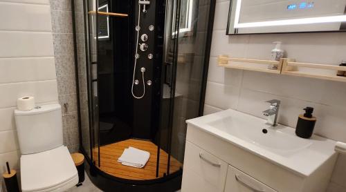a bathroom with a shower with a toilet and a sink at Morii Lake Studio in Bucharest