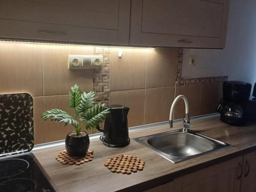 Kuchyňa alebo kuchynka v ubytovaní Apartamenty LeVilla