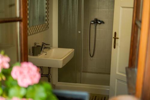 a bathroom with a sink and a shower at Apartment Bernarda - Entire House in Kobarid