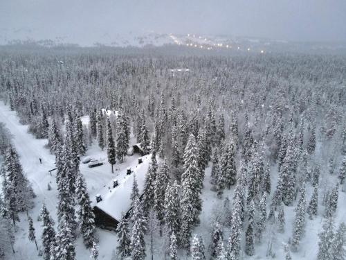an aerial view of a forest of trees covered in snow at Luosto Jylhäkelo - a cozy loghouse in the heart of Lapland in Luosto