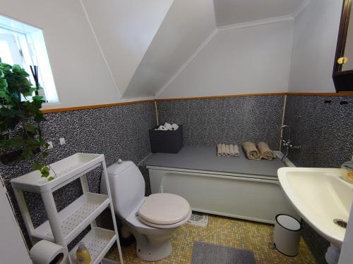 a bathroom with a toilet and a sink at Villa i Näsland in Näsland
