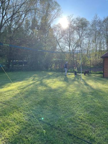 a man and two dogs playing with a kite in a yard at Domčeky Sabinka a Melinka in Valča