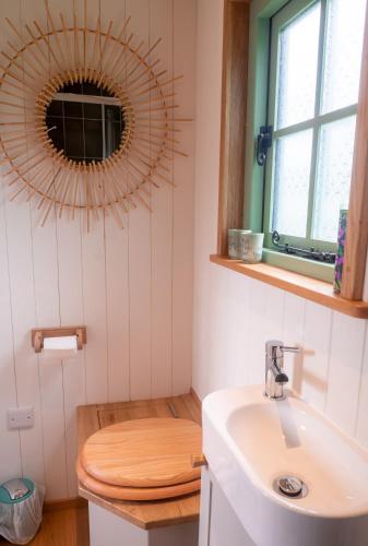 a bathroom with a toilet with a sink and a mirror at Luxury Shepherds Hut in Stonehouse