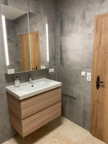 a bathroom with a sink and a mirror at Land-Loft in Hilgermissen