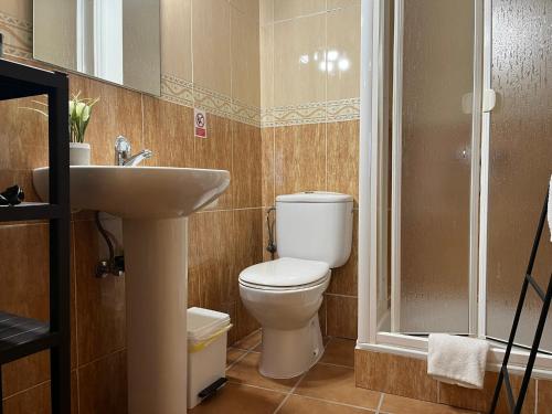 a bathroom with a toilet and a sink and a shower at CASA RURAL MASIA ARINESA Culla in Culla