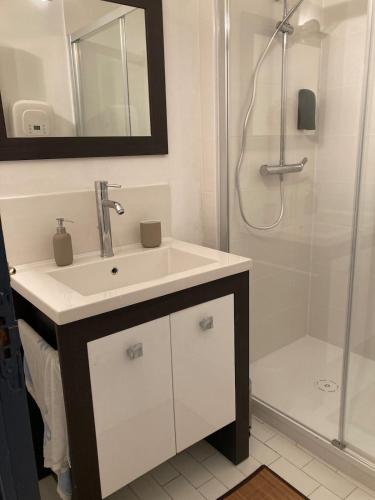 une salle de bain avec un lavabo et une douche dans l'établissement Appartement cosy et calme en cœur de ville - Quartier Saint Aubin proche gare, à Toulouse