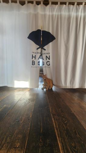 a cat sitting in front of a curtain with an umbrella at Guest House Inawashiro~Hanbog~ in Inawashiro