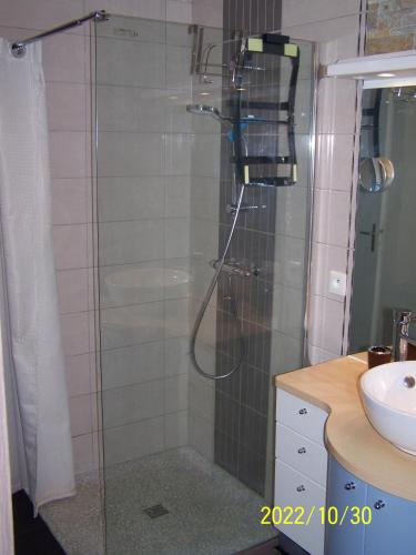 une salle de bain avec une douche avec une porte vitrée dans l'établissement maisonlazenitude-lapalmyre, aux Mathes