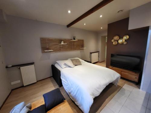 une chambre avec un lit et une télévision à écran plat dans l'établissement Les Glycines, T2 near downtown, à Poitiers