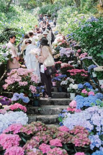 a group of people walking through a garden of flowers at ARUYOguesthouse 一棟貸切 大人数でbbqと焚き火を楽しむ in Haibara