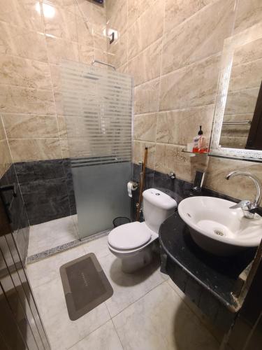 a bathroom with a toilet and a sink at Luxor Sapphire in Luxor