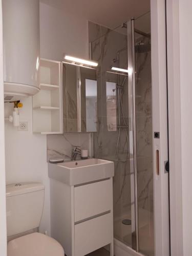 une salle de bain avec une douche, un lavabo et des toilettes dans l'établissement Très beau T2 4 personnes 200 m plage de la Favière, à Bormes-les-Mimosas