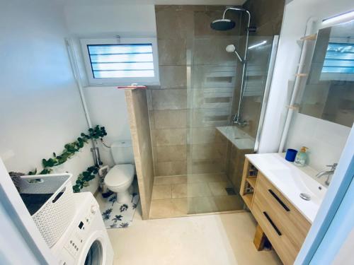 une salle de bain avec une douche, des toilettes et un lavabo dans l'établissement Charmante petite maison, à Hourtin