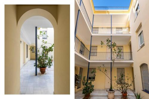 Unico Alfalfa Apartment