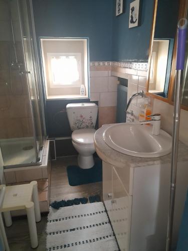 a small bathroom with a sink and a toilet at Marie-Claire la grillade in Briare